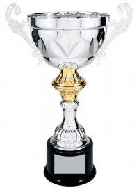 Two Tone Silver Trophy Metal Cup