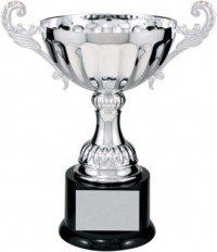 Champion Silver Metal Cup
