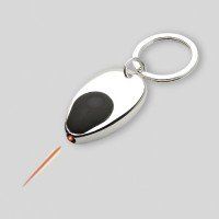 Key Ring With Light