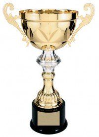 Two Tone Gold Trophy Metal Cup