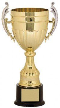 Winner Plastic Gold Cup