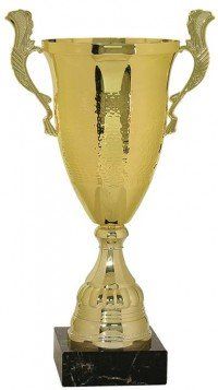 Hammer Finish Gold Metal Cup