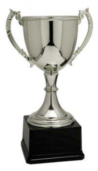 Zinc Metal Silver Trophy Cup