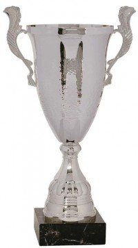Hammer Finish Silver Metal Cup