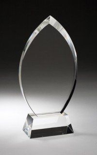 Optic Crystal Arrowhead Award