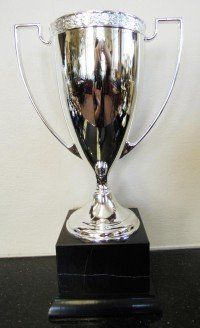 Die-Cast Metal Trophy Cup