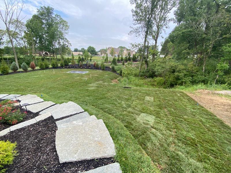 A lush green lawn with a stone walkway and trees in the background.