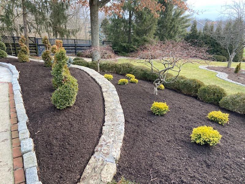 A lush green garden with trees , bushes , and mulch.