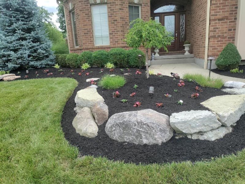 A lush green lawn with rocks and mulch in front of a brick house.