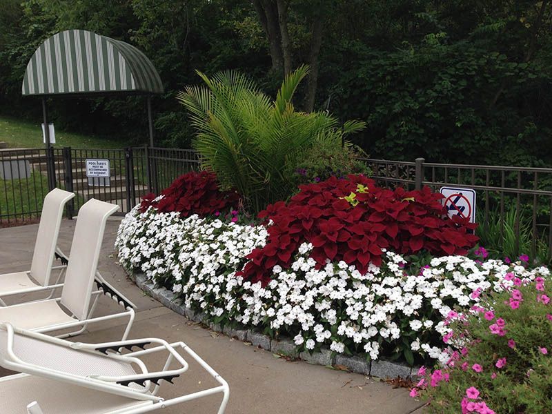A row of lounge chairs sitting next to a bed of flowers