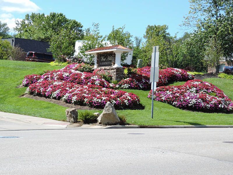 A lush green lawn with flowers and a gazebo in the background