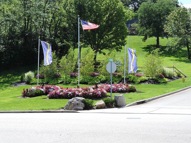 A bunch of flags are flying in front of a lush green field