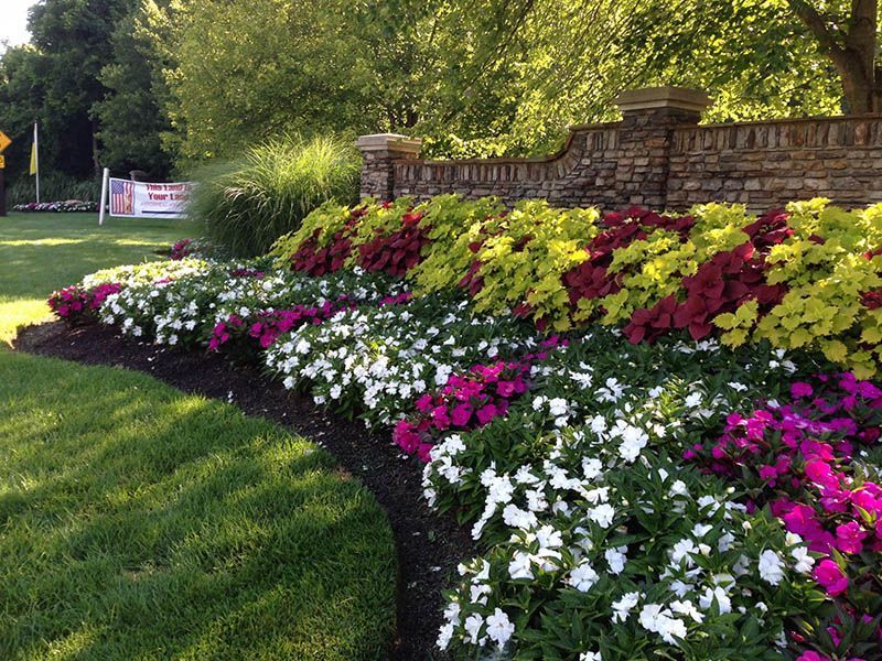 A garden filled with lots of different colored flowers