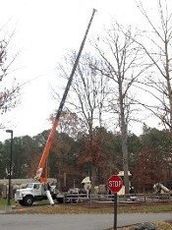 Crane — Williamsburg, VA — Top Notch Tree Service