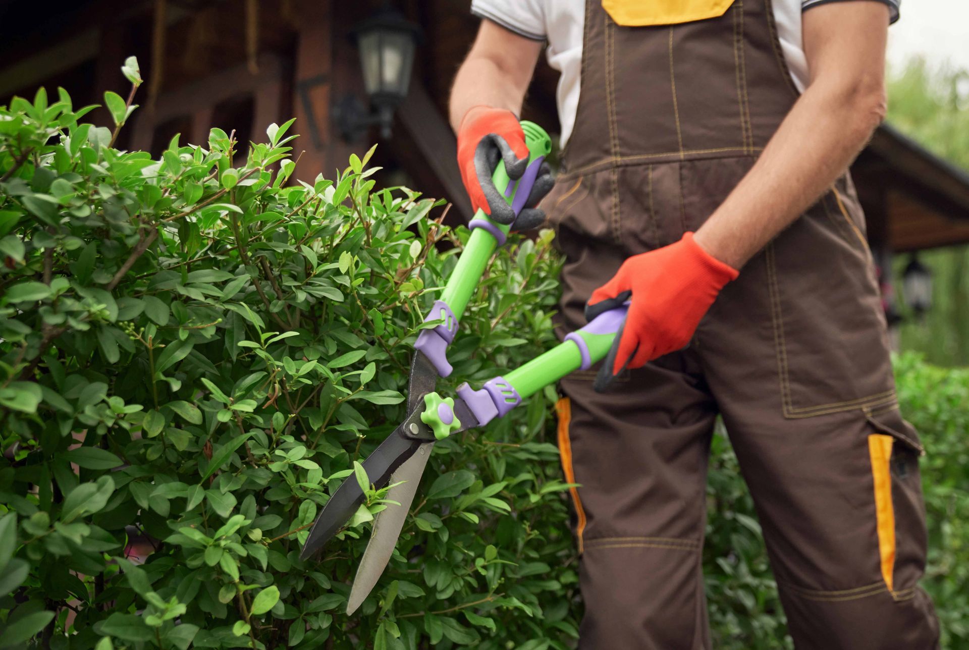 Expert tree trimming services showcased by a man in overalls in a vibrant backyard.