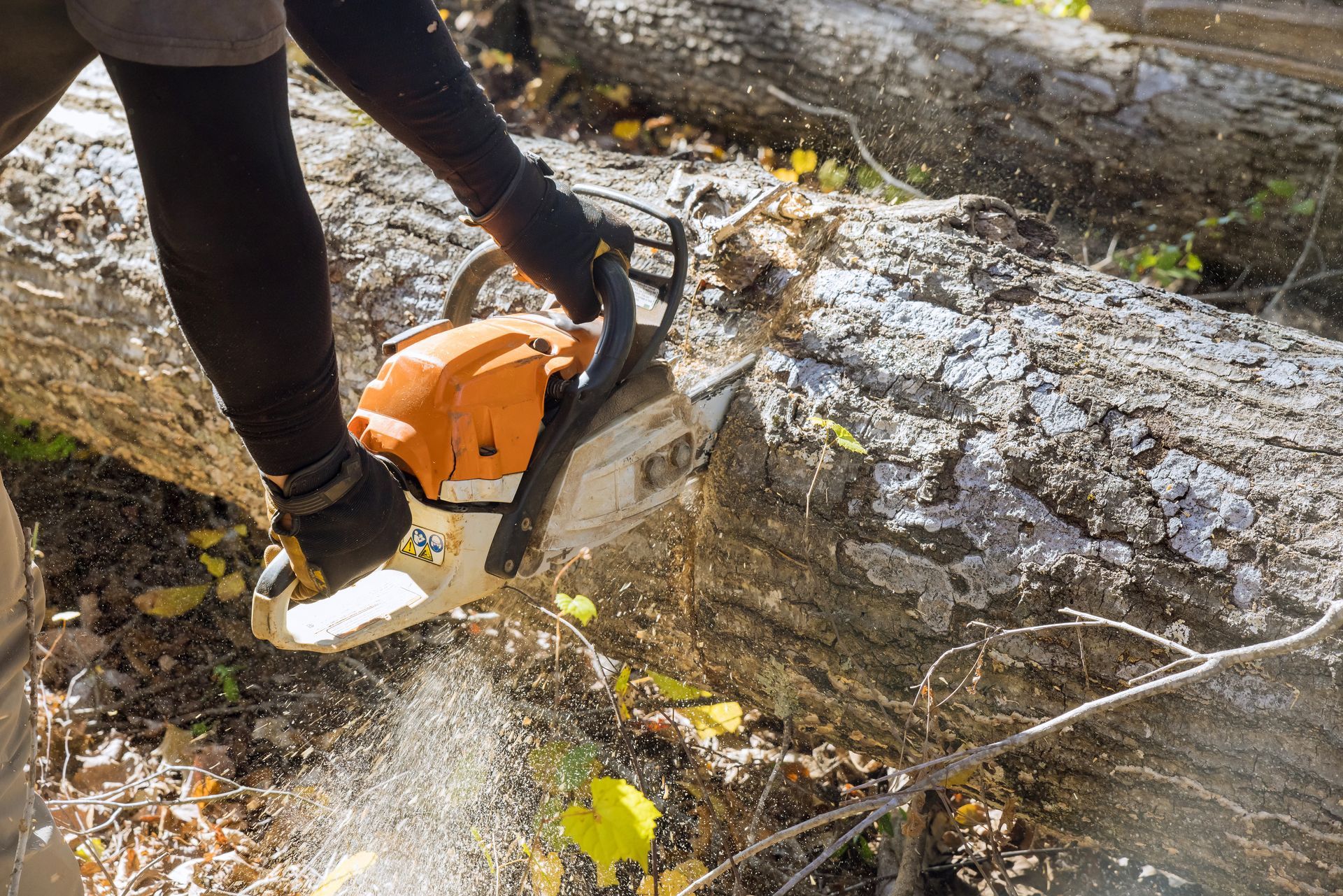 Worker cutting an uprooted log with a chainsaw for rapid emergency tree removal.