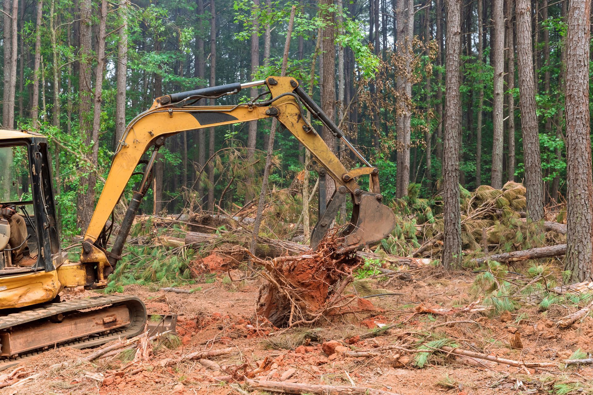 Excavator clearing forest land removing tree roots during land development.