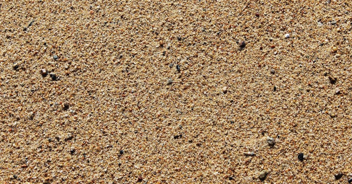 Ferus Distribuidora SRL