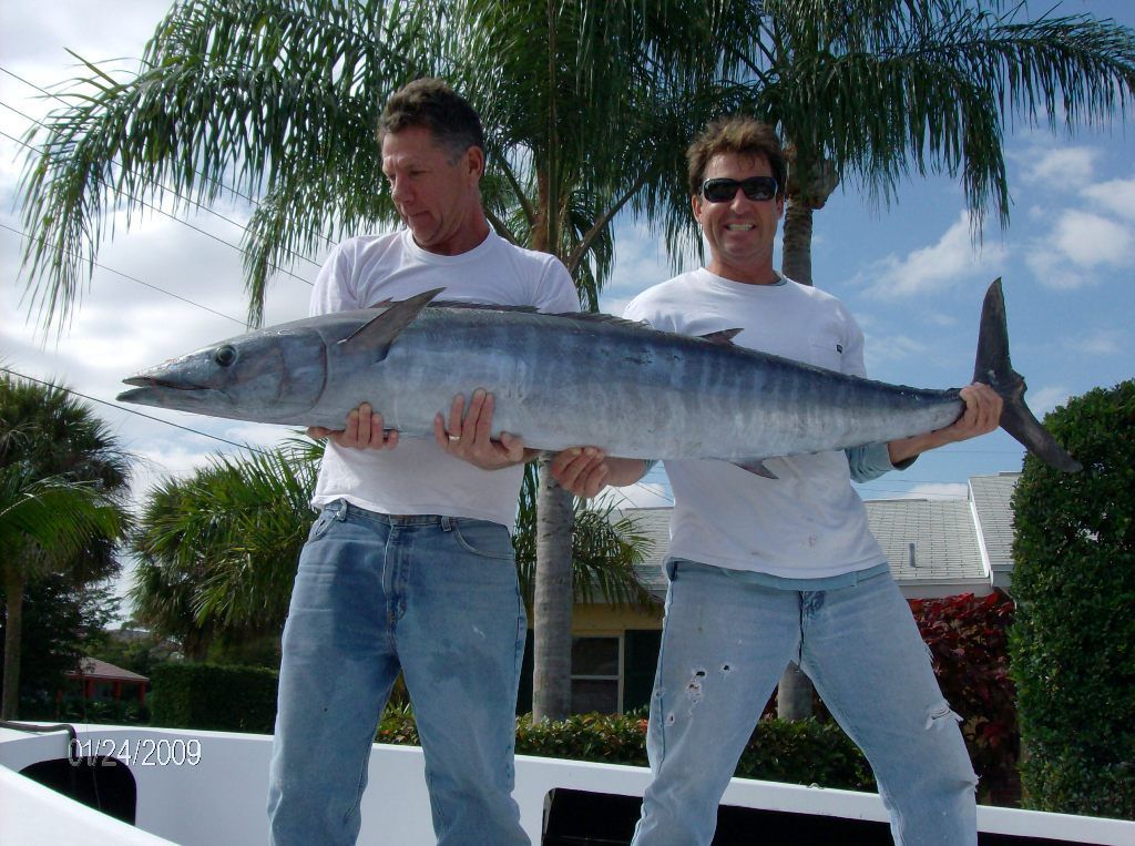 Two men are holding a large fish in their hands