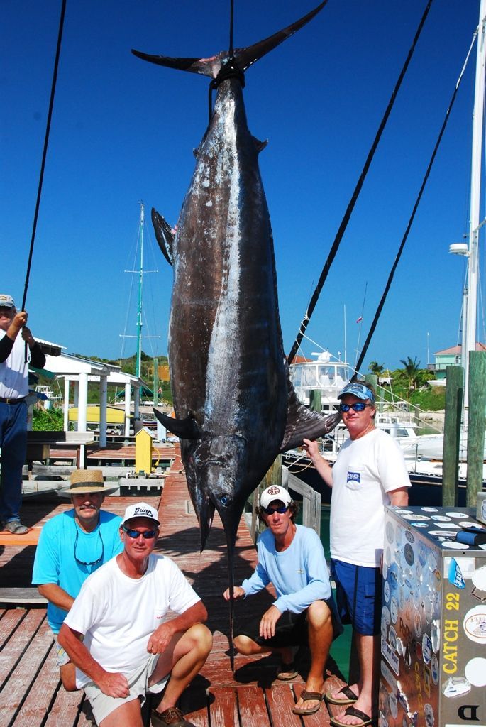 A group of men are posing for a picture with a large fish on a dock