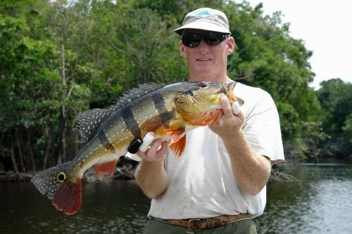 a man is holding a large fish in his hands .