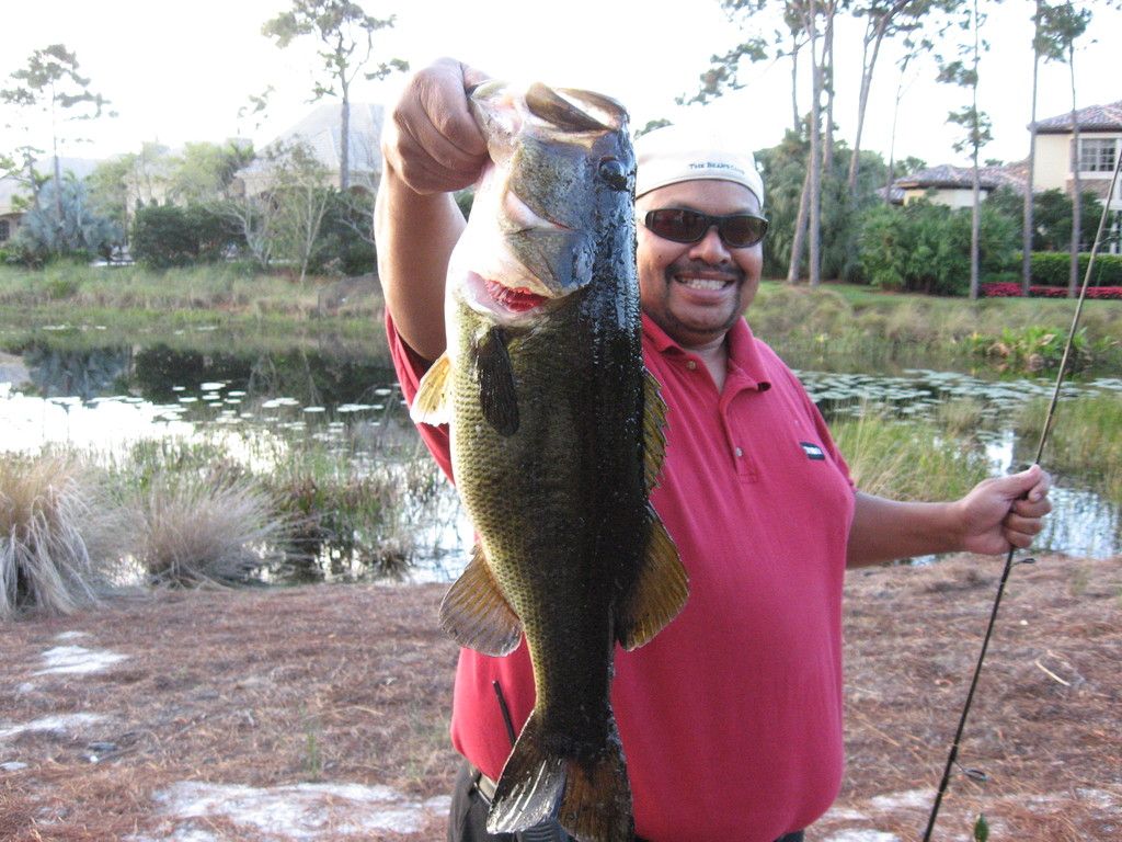 a man in a red shirt is holding a large fish