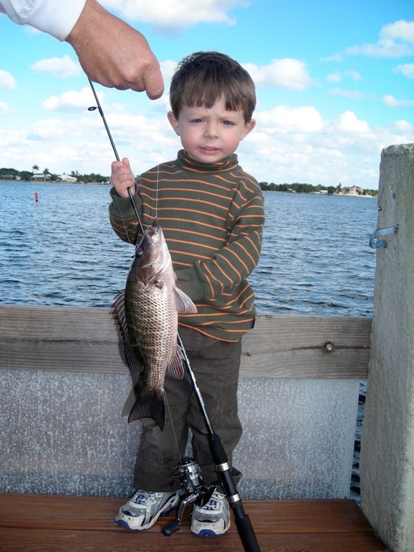 A young boy is holding a fish on a fishing rod