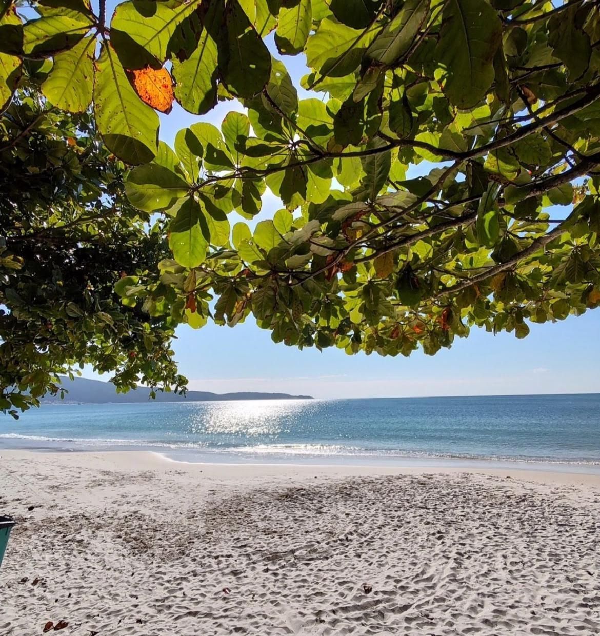 Go Alquileres en Brasil