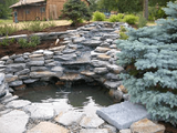 Rock garden pond with a small stone waterfall and evergreen shrub beside a rustic cabin