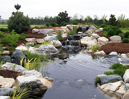 Rock garden pond with flowing water, boulders, and lush green shrubs outdoors