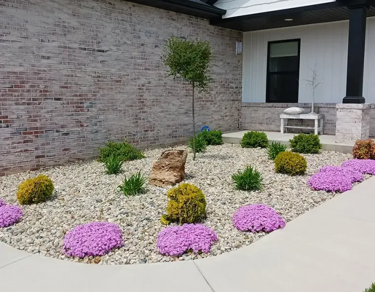 Landscaped front yard with white gravel, purple flowers, small shrubs, and a brick house facade