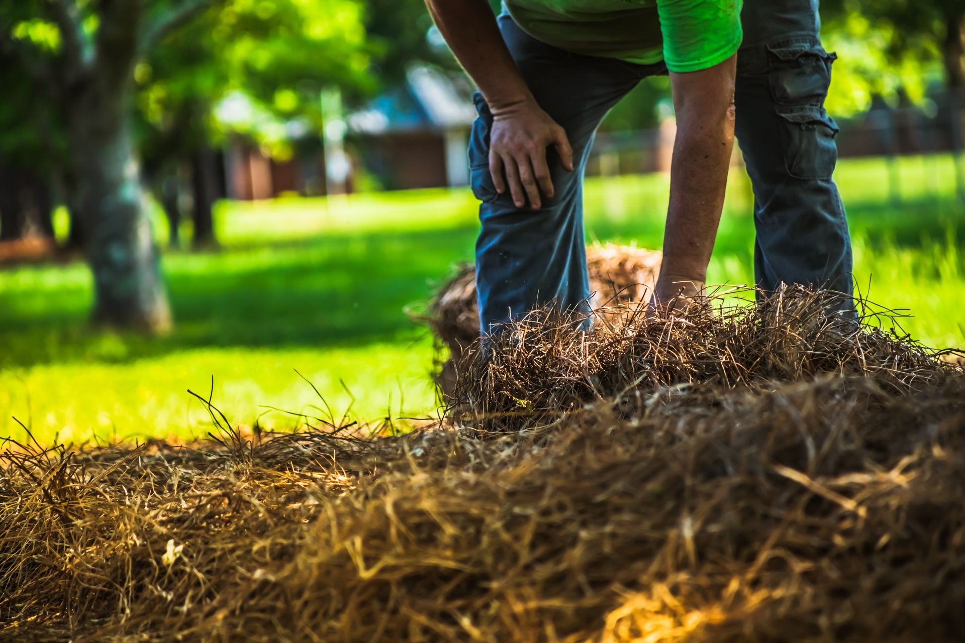Person raking dry leaves in a sunny green park with trees in the background