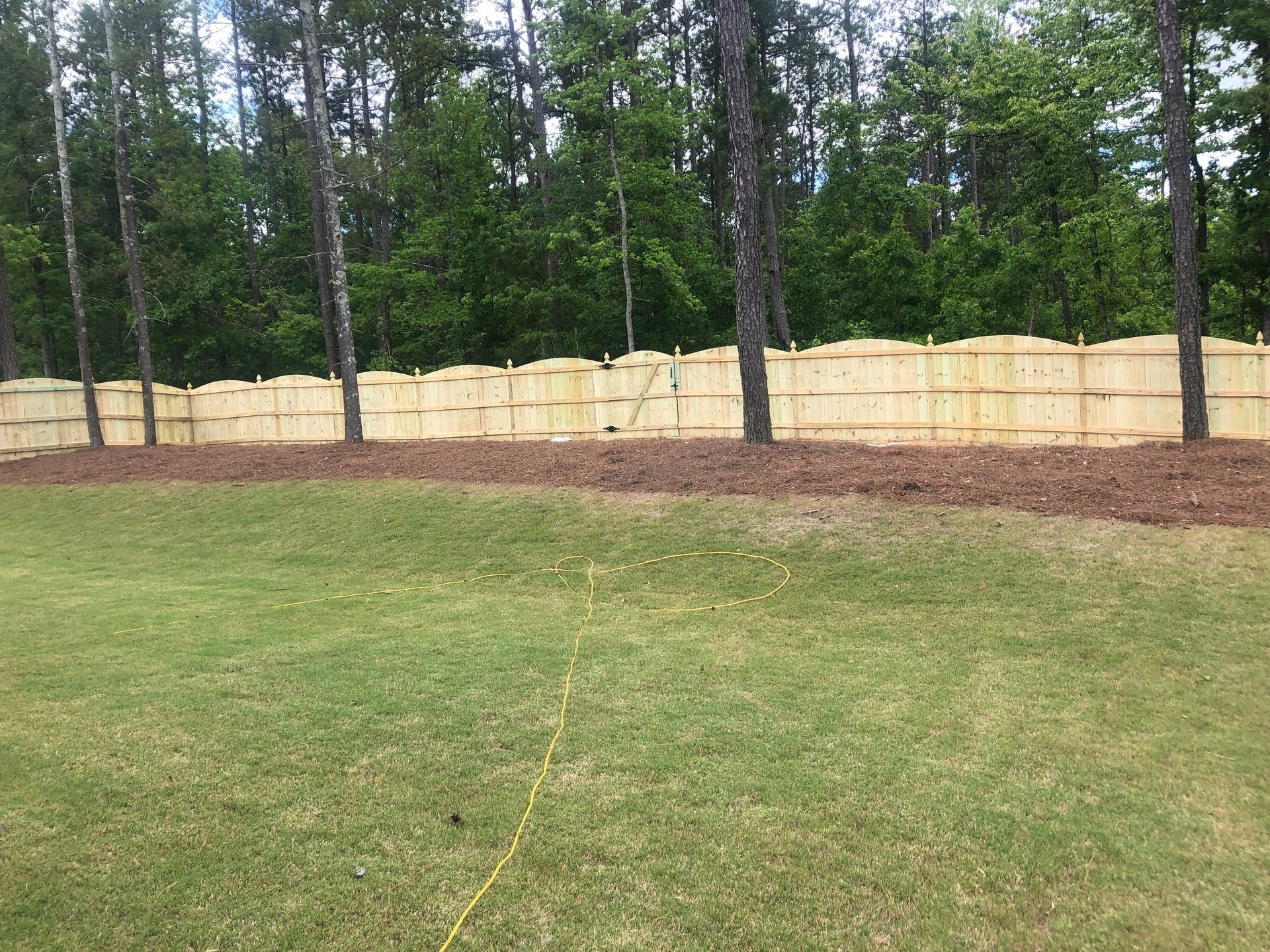 Grassy yard with a wooden privacy fence and trees in the background.