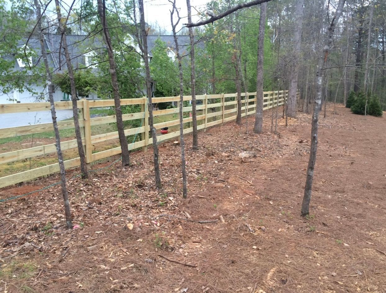 Wooded backyard with a wooden fence and leaf-covered ground beside a house