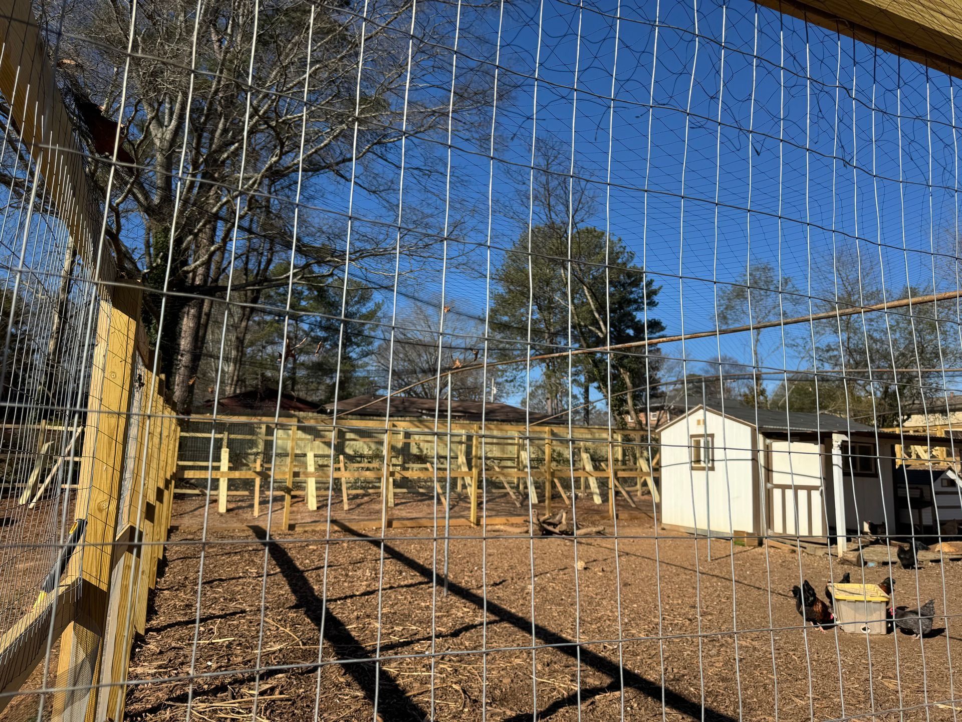 Fenced backyard with bare trees, wooden posts, and a small shed on a sunny day