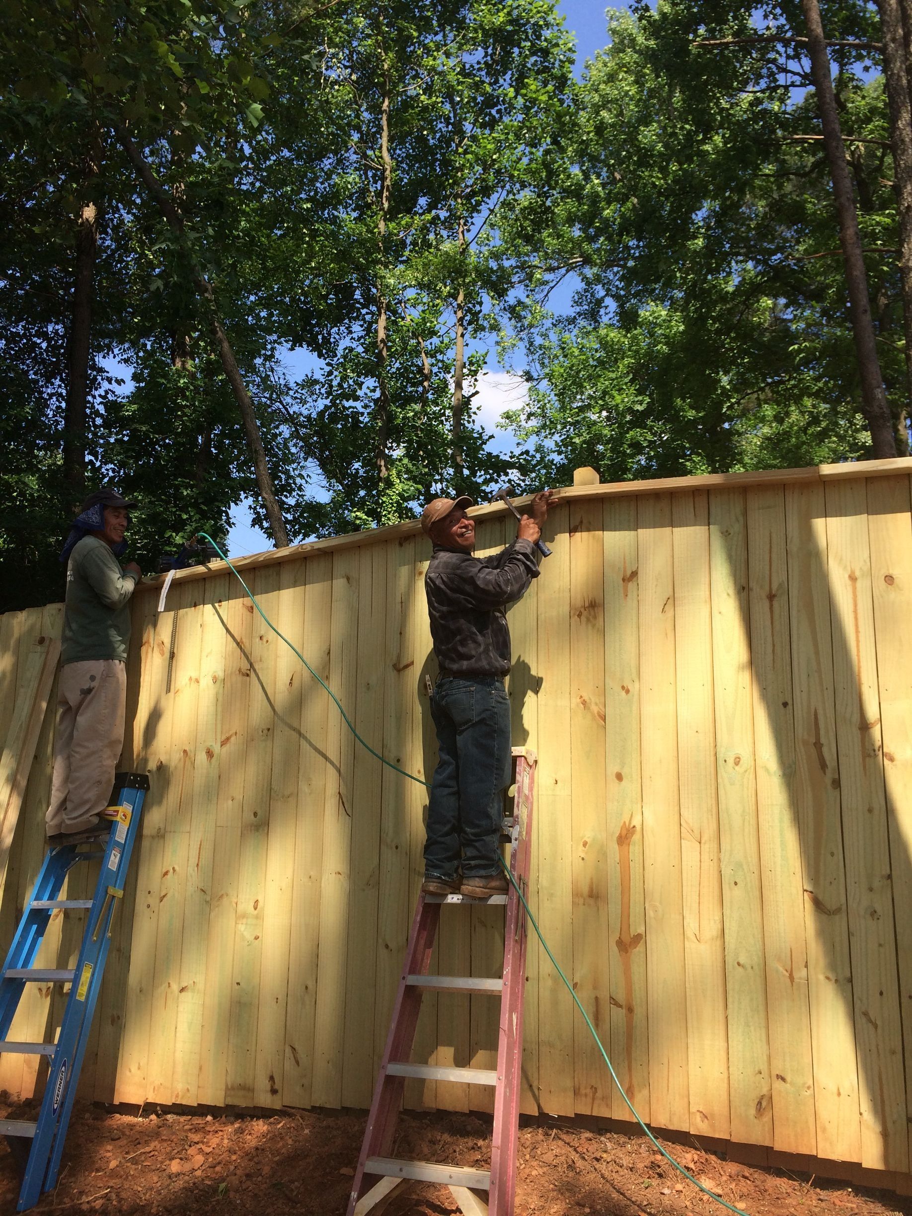 Workers on ladders installing a tall wooden fence in a wooded yard
