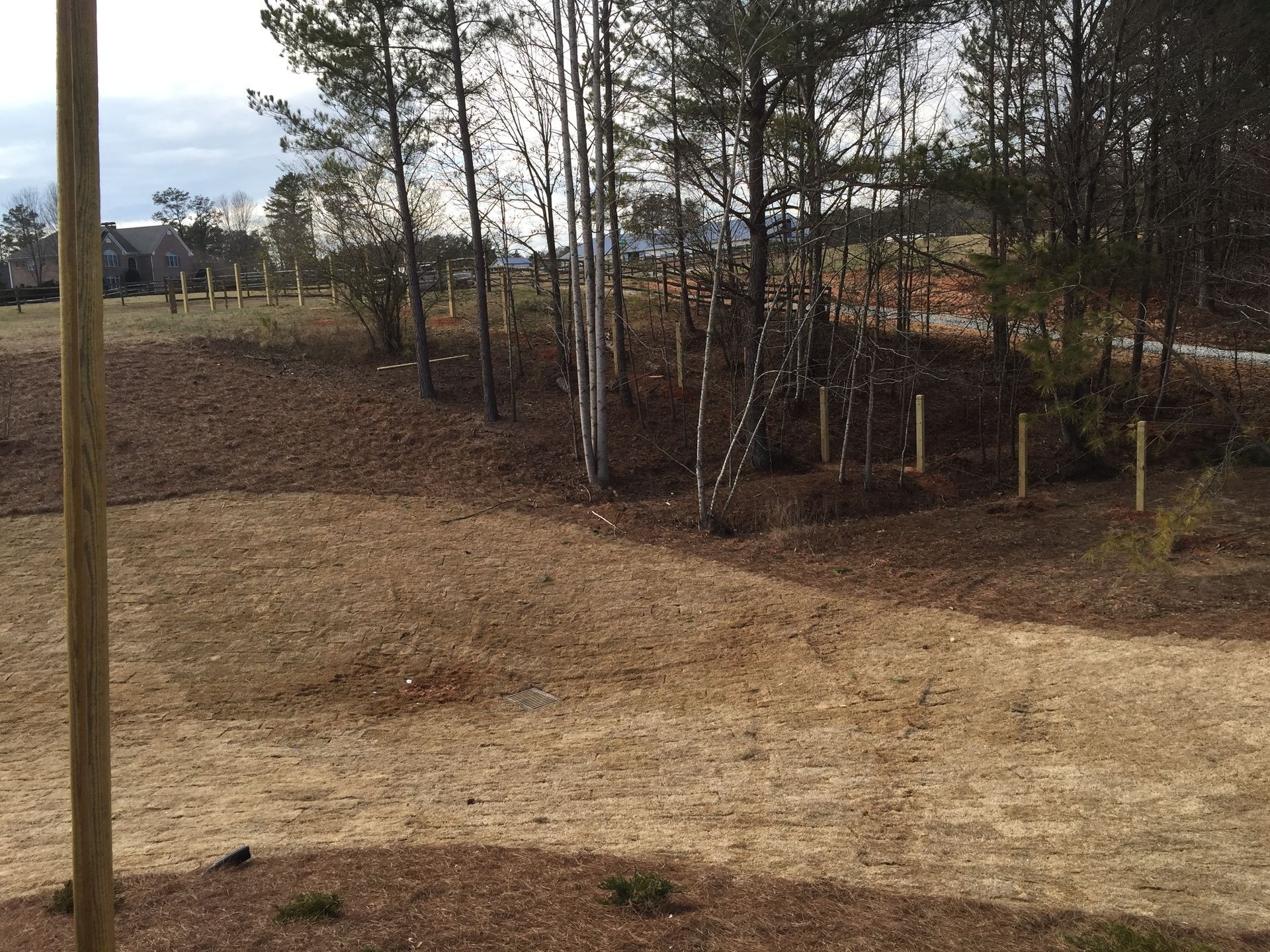 Wooded yard with bare trees, brown grass, and a paved area in the foreground