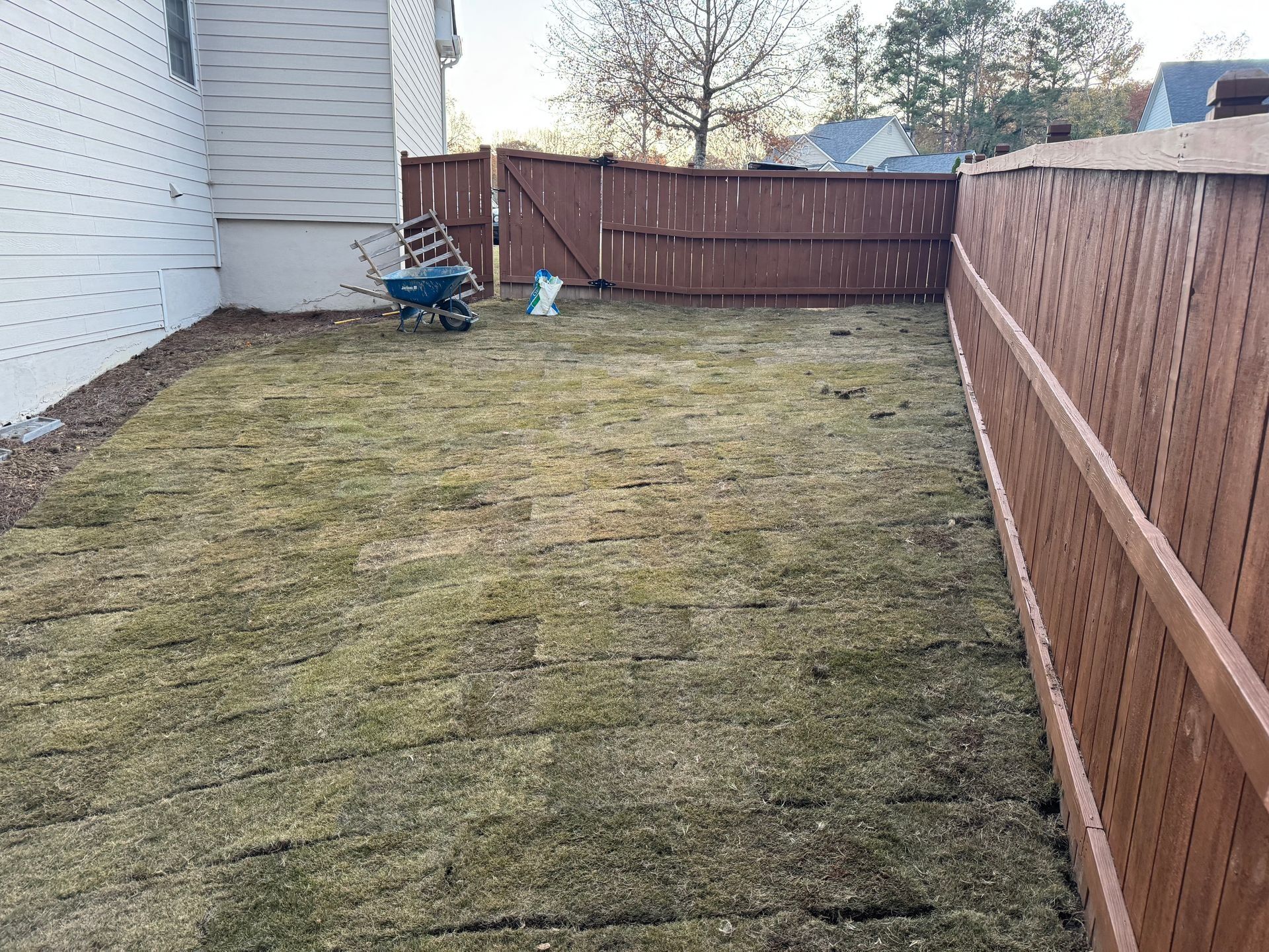 Narrow backyard with patchy grass, wooden fence, and a blue wheelbarrow near the far corner.
