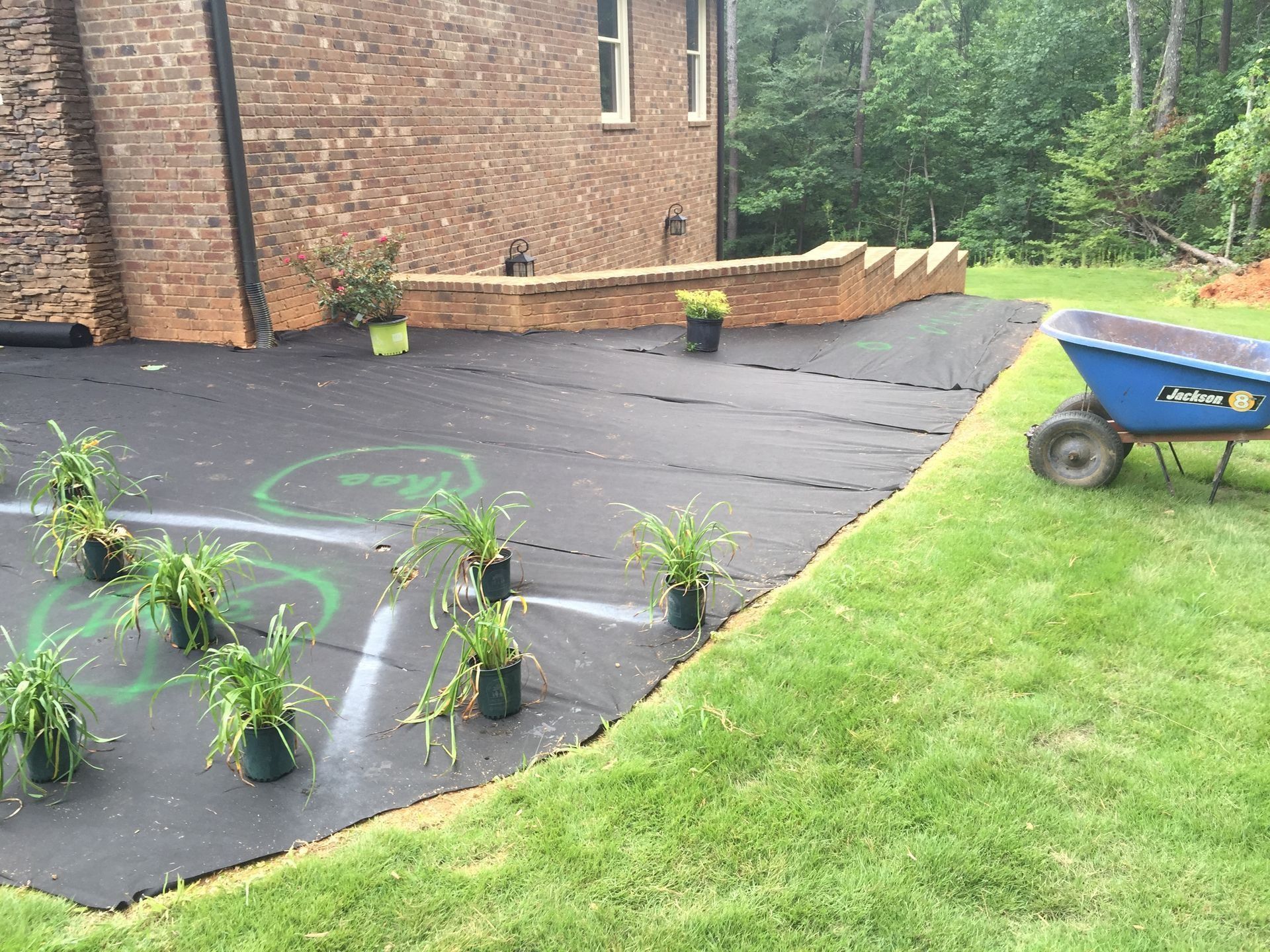 Newly planted flowers on black landscape fabric beside a brick house and green lawn, with a blue wheelbarrow.