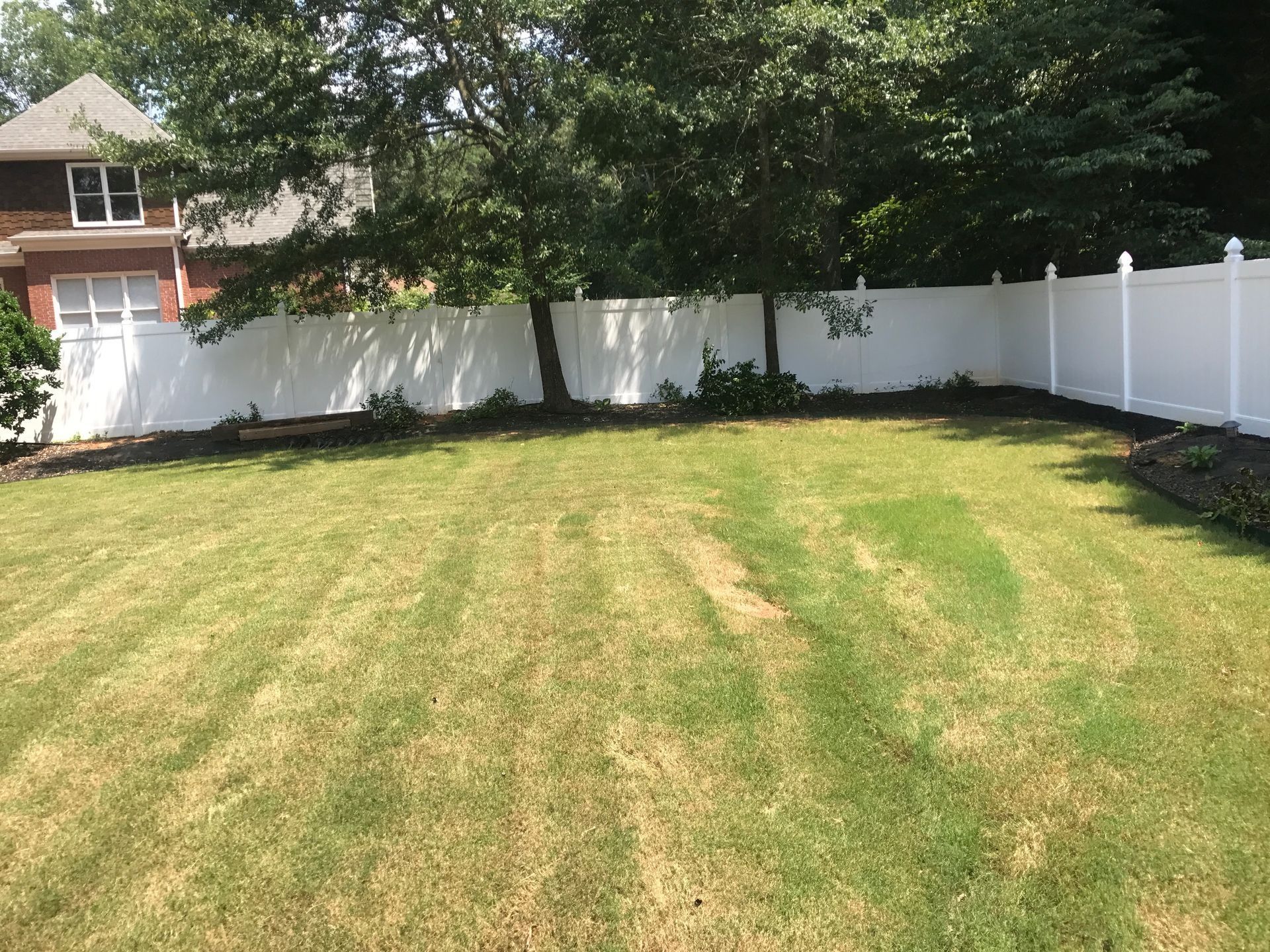 Backyard lawn with white fence and trees, seen from a house