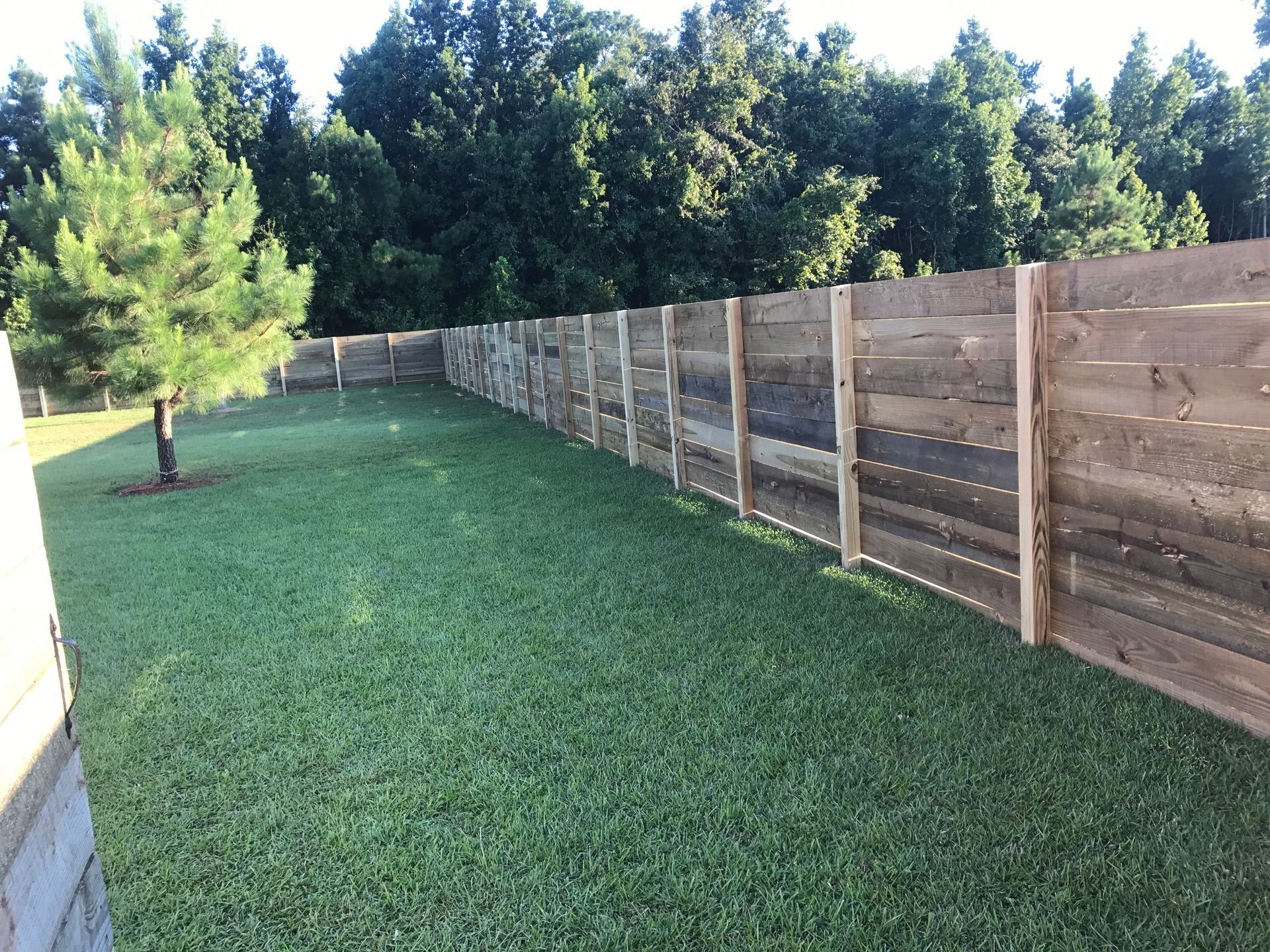Grassy backyard with a long wooden fence and a small tree, bordered by tall trees in the distance