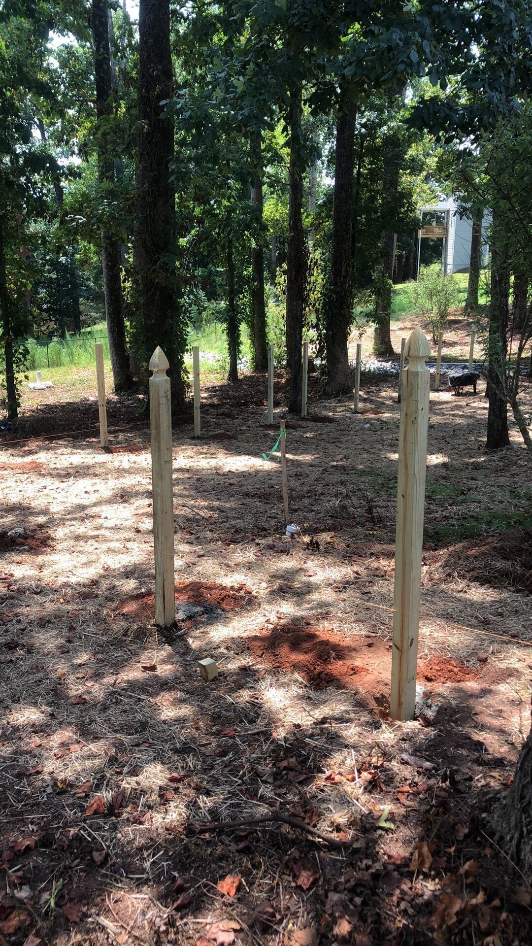 Two wooden posts in a wooded area with trees and scattered dry leaves on the ground