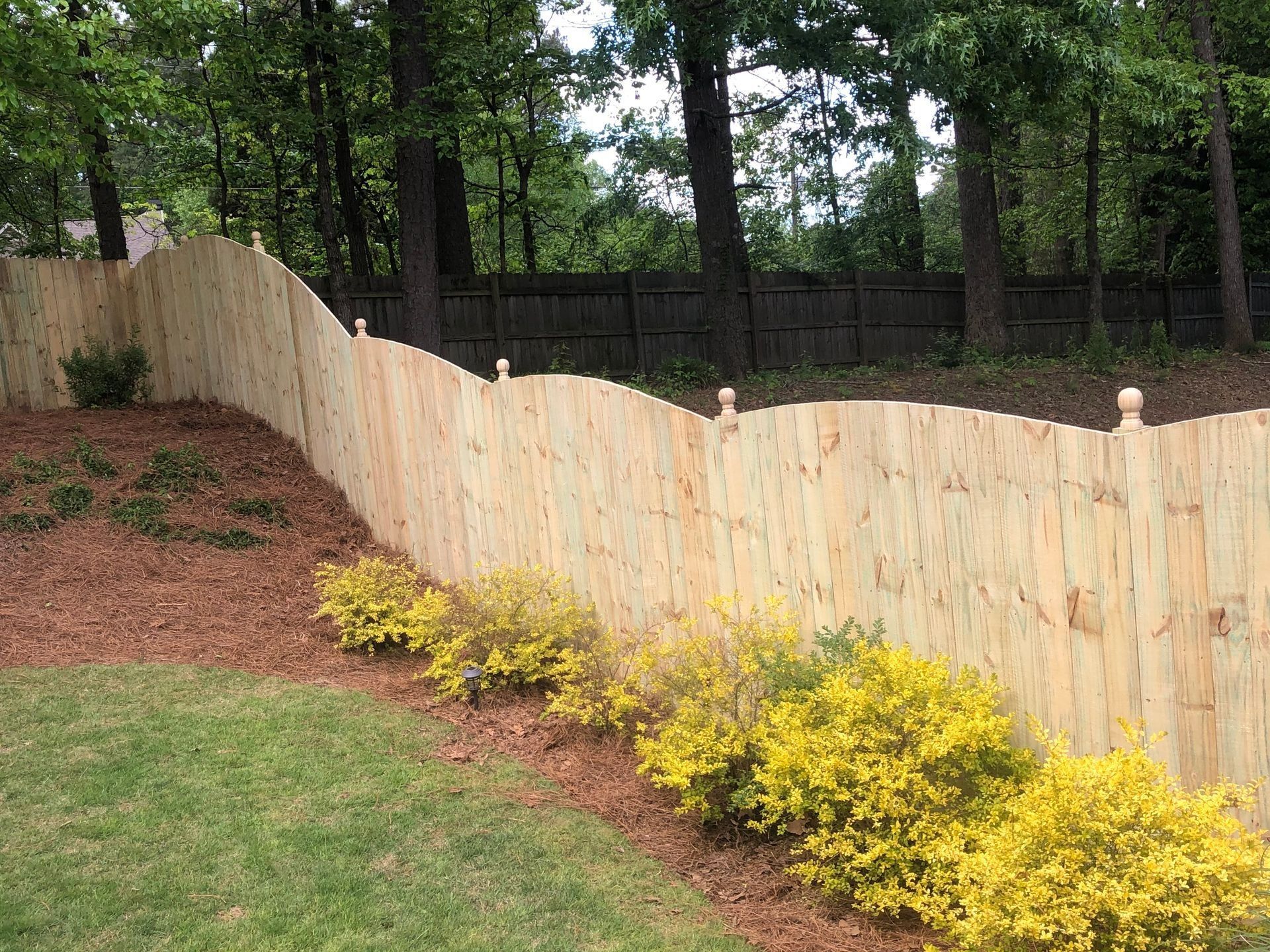 Curved wooden fence with yellow shrubs along a grassy backyard under trees