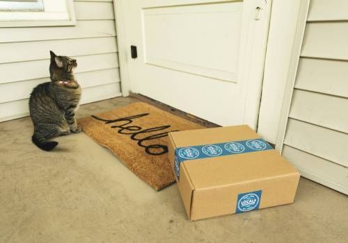 A porch with a tabby cat beside a package delivered in the same day.