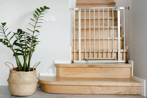 A ZZ plant in a woven basket sits beside wooden stairs, which are blocked by a white child safety gate.