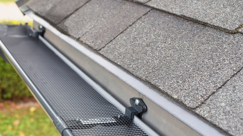 Roof gutter with a black gutter guard beside gray shingles.