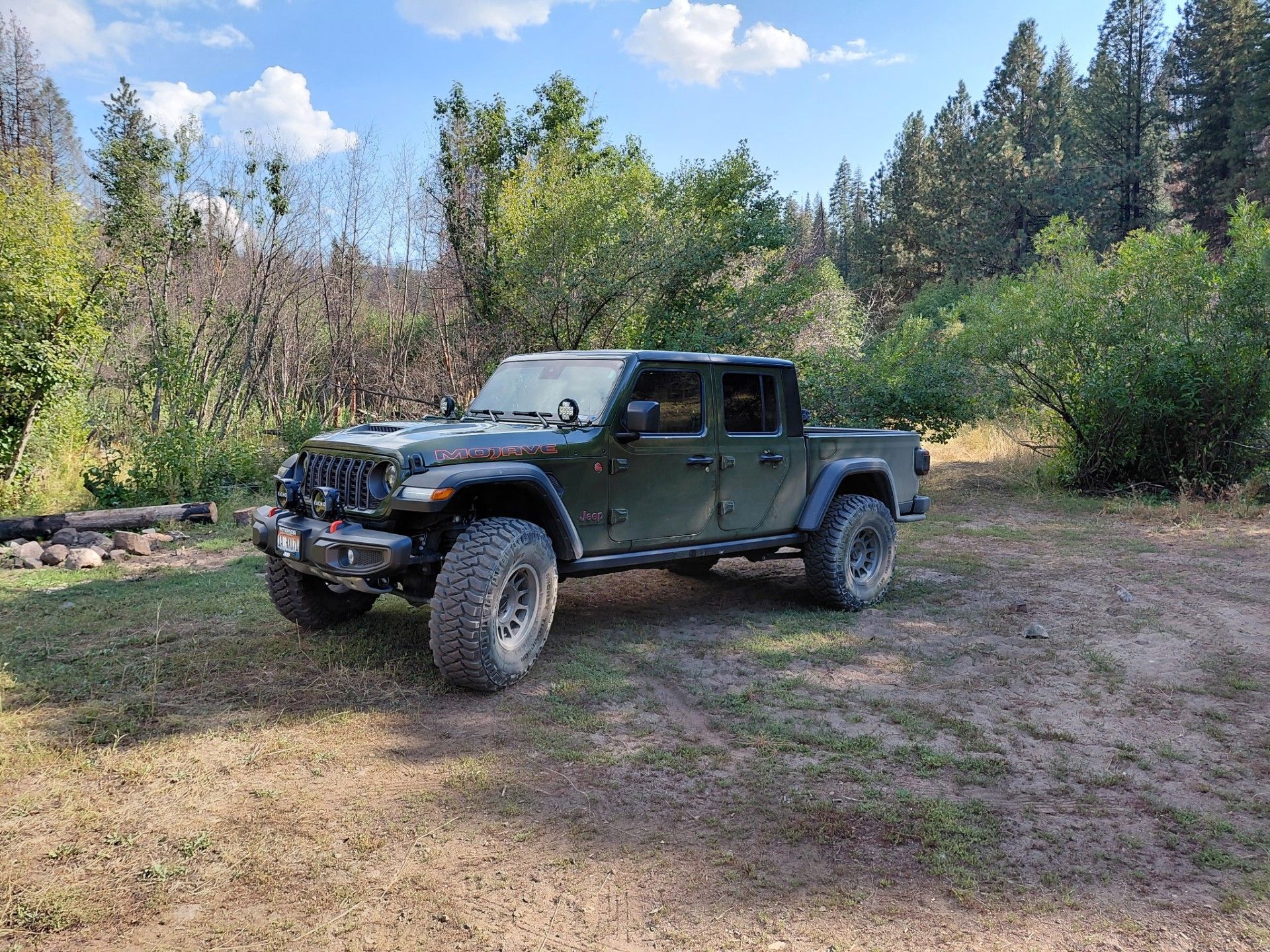 An olive-green Jeep Gladiator truck parked on a dry, grassy clearing with a background of lush pine trees and blue sky.