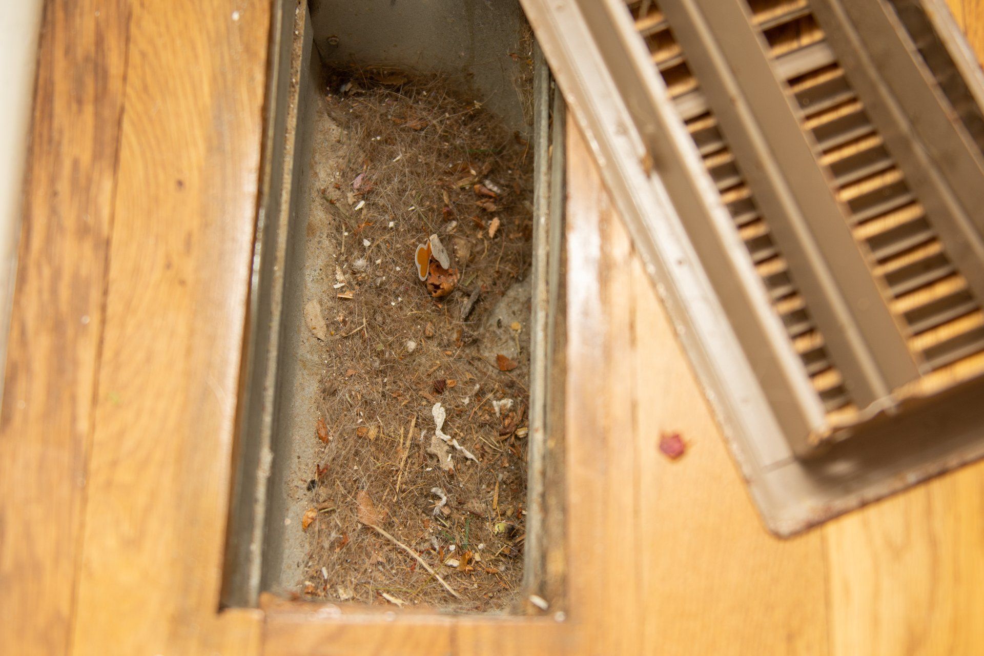 Floor vent filled with debris, next to a detached metal grate on hardwood flooring.