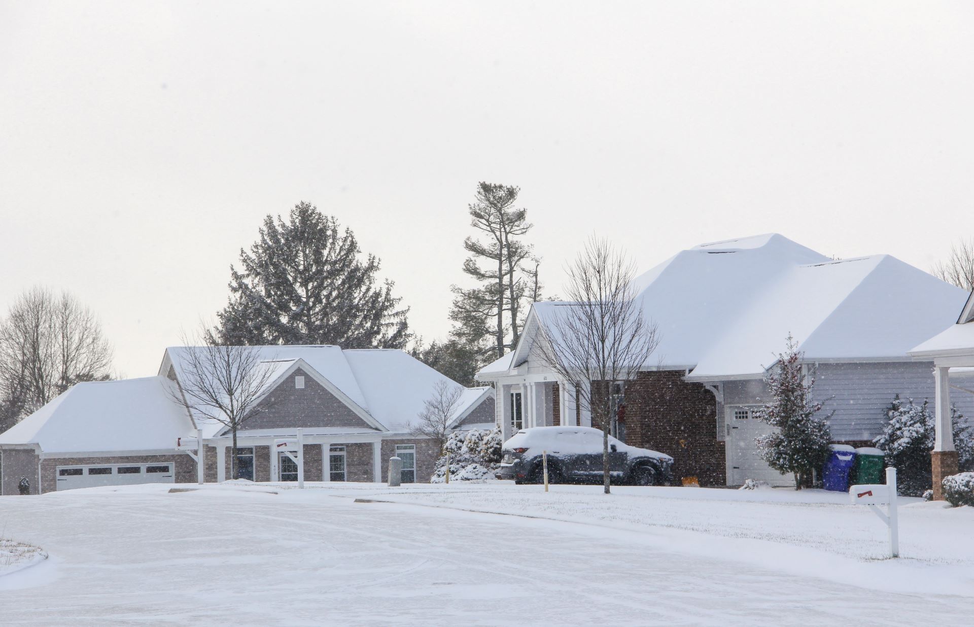 Snow-covered suburban houses and trees on a cloudy winter day.