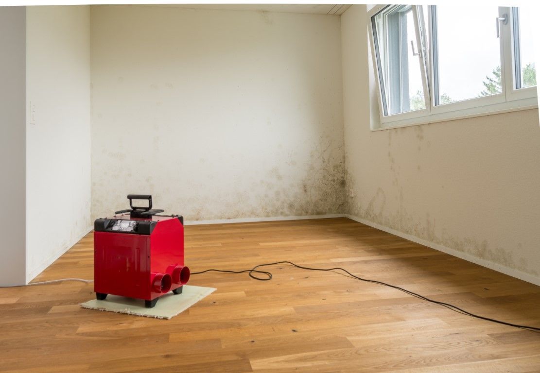 A red dehumidifier in a room with visible mold on the walls.